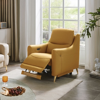 Modern Electric Leather Chair